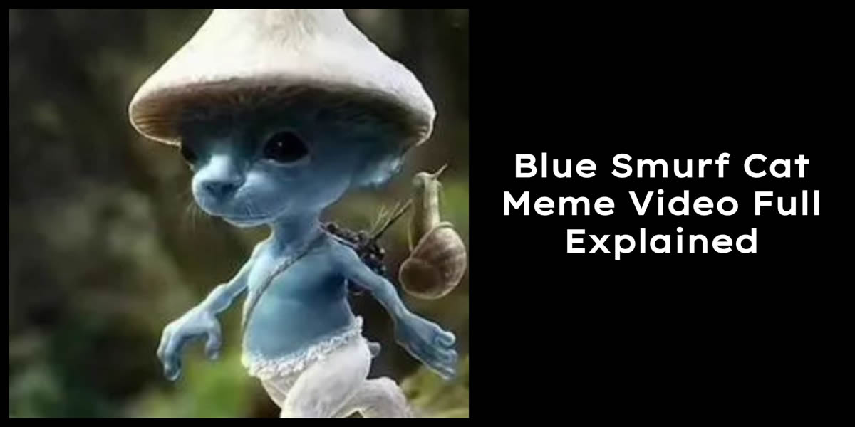 Blue Smurf Cat Meme Video