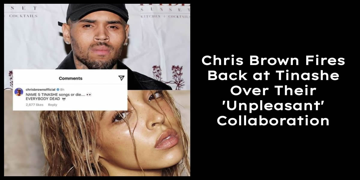 Chris Brown Fires Back at Tinashe