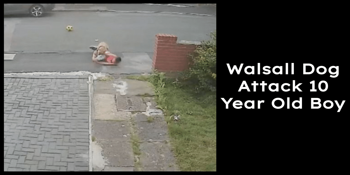 walsall dog attack 10 year old boy