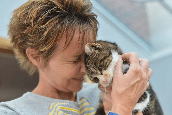 A woman is shocked to find out that her long-lost cat is still alive 4