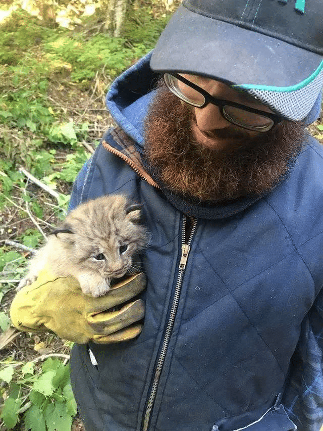 Man Finds a Tiny Kitten in a Forest, But It’s Not What It Seems 1