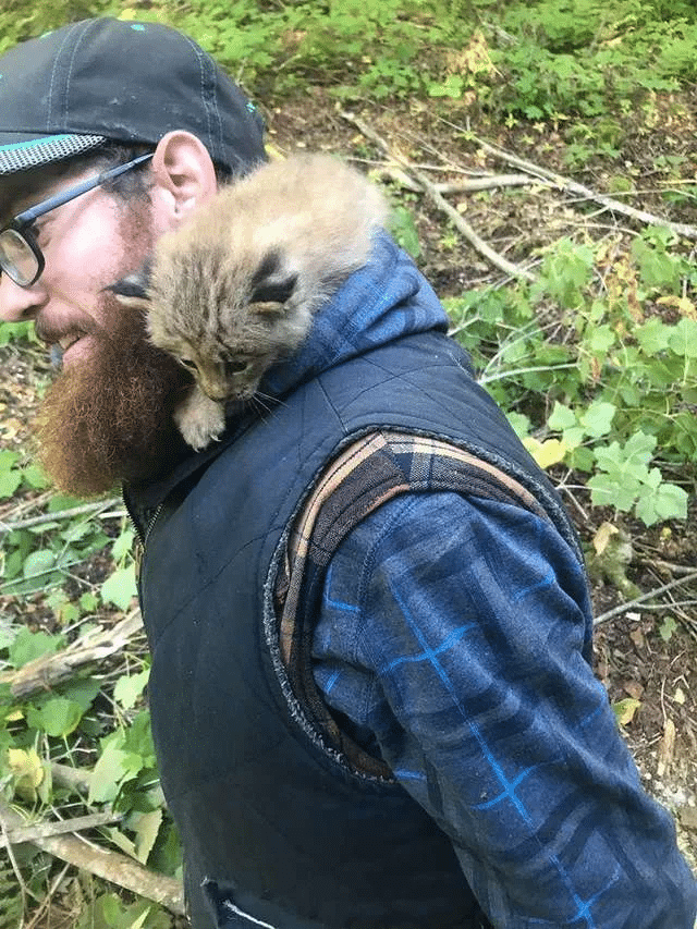 Man Finds a Tiny Kitten in a Forest, But It’s Not What It Seems 2